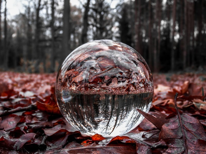 Magical Inspirations
